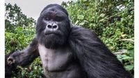 Perlu Tahu, Deretan Fakta Unik yang Mind Blowing