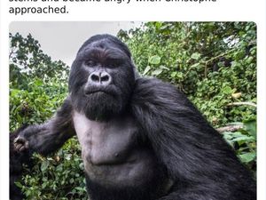 Perlu Tahu, Deretan Fakta Unik yang Mind Blowing Perlu Tahu, Deretan Fakta Unik yang Mind Blowing