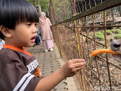 Taman Uncal, Cukup Bayar Rp 2 Ribu Bisa Main Bareng Rusa di Bandung