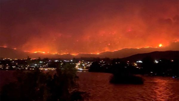 Penampakan Kobaran Api Melalap Hutan di Kanada