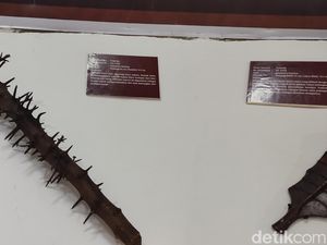Mengenal Rukam, Senjata Pelindung Diri-Pemukul Mahluk Halus dari Ogan Ilir Mengenal Rukam, Senjata Pelindung Diri-Pemukul Mahluk Halus dari Ogan Ilir