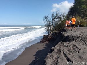 Abrasi Parah di Pantai Trisik Kulon Progo, Ancam Warung-Konservasi Penyu