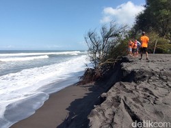 Abrasi Parah di Pantai Trisik Kulon Progo, Ancam Warung-Konservasi Penyu