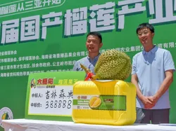 Istimewa dari China! Durian 6,9 Kg Ini Laku Terjual Rp 820 Juta