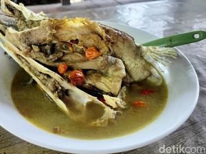 Garang Asem Kepala Ikan Manyung Khas Bojonegoro Ini Dijamin Bikin Gobyos Garang Asem Kepala Ikan Manyung Khas Bojonegoro Ini Dijamin Bikin Gobyos