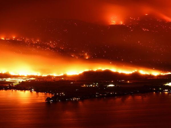 Penampakan Api Membara di Hutan Perbatasan AS-Kanada