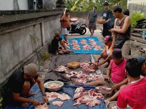 Distan Bali Awasi Peredaran Daging Babi Jelang Galungan, Waspadai Meningitis
