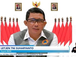 BNPB Ungkap Pengiriman Bantuan ke Puncak Papua Terhambat Gangguan OPM