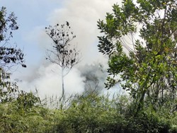 Nyaris 1.000 Hektare Lahan Terbakar di Riau, Ini Daerah Terbanyak