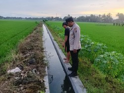 Balita di Banggai Tewas Tenggelam di Irigasi Saat Ikut Mancing Bareng Kakak