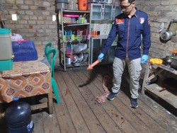 Kondisi Terkini Ayah-Anak Kritis gegara Saling Serang hingga Menantu Tewas