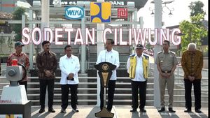 Penampakan Sodetan Ciliwung yang Diresmikan Jokowi