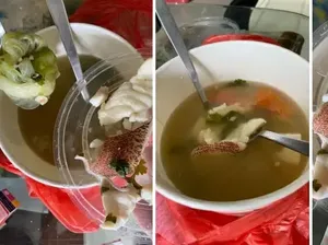 Kopi Klotok Alami Kerugian Hingga Pria Kesal Beli Sup Ikan Rp 114 Ribu Kopi Klotok Alami Kerugian Hingga Pria Kesal Beli Sup Ikan Rp 114 Ribu