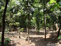 Jadi Sarang Asusila, Pemkot Jaktim Tutup 2 Akses Ilegal Taman Kota Cawang