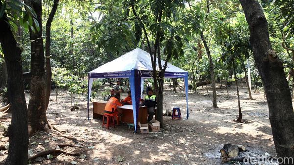 Heboh Disebut Sarang LGBT, Hutan Kota Cawang Kini Dijaga 24 Jam