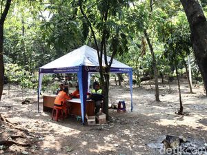 Heboh Disebut Sarang LGBT, Hutan Kota Cawang Kini Dijaga 24 Jam Heboh Disebut Sarang LGBT, Hutan Kota Cawang Kini Dijaga 24 Jam
