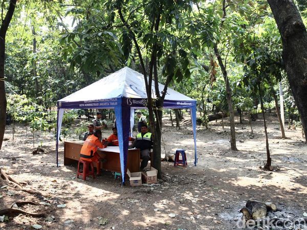 Heboh Disebut Sarang LGBT, Hutan Kota Cawang Kini Dijaga 24 Jam