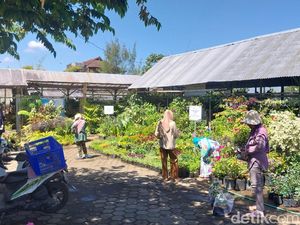 Ini Salah Satu Kawasan Pembudi Daya Bunga Hias Terbesar di Indonesia, Ada Malnya Ini Salah Satu Kawasan Pembudi Daya Bunga Hias Terbesar di Indonesia, Ada Malnya