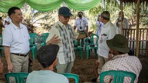 Dukungan Pembiayaan Petani Kelapa Sawit agar Sejahtera