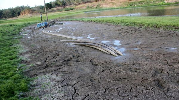 Embung Grojogan di Jombang Mengering