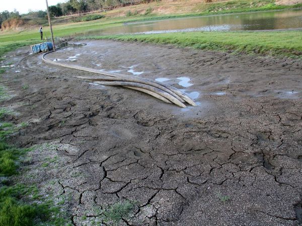 Embung Grojogan di Jombang Mengering
