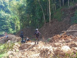Empat Anjing Pelacak Dikerahkan Cari Petani Tertimbun Longsor di Cianjur