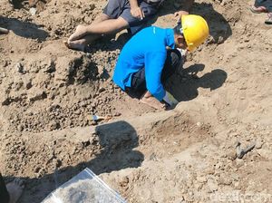 Gali Pondasi Rumah, Warga Ngebung Sragen Temukan Fosil Gading Gajah