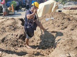 Fosil Gajah Temuan Warga Sragen Diperkirakan Berumur 800 Ribu Tahun!