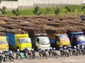 Pabrik Gula Blitar Respons Lahan Tebu Non Prosedural Rugikan Negara Rp 38 M Pabrik Gula Blitar Respons Lahan Tebu Non Prosedural Rugikan Negara Rp 38 M