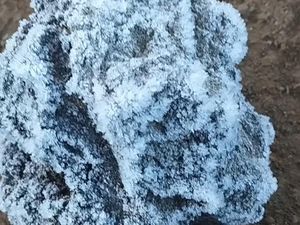 Tak Cuma Dieng, Salju juga Selimuti Gede Pangrango, Ini Kata BMKG