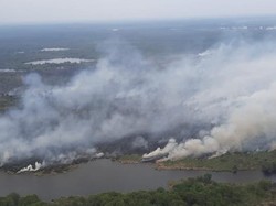 Karhutla di Riau Nyaris 1.000 Ha, Satgas Efektifkan Heli untuk Pemadaman