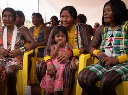 Hari Masyarakat Adat Internasional 2023: Tema dan Sejarah