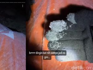 Cerita Pendaki Bandung Lihat Butiran Es di Gunung Gede Pangrango