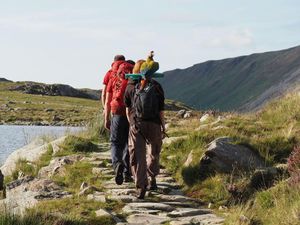 Wanita Ini Diselamatkan dari Gunung Karena Burung Beonya Ketakutan Wanita Ini Diselamatkan dari Gunung Karena Burung Beonya Ketakutan