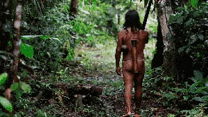 Potret Kehidupan Waorani, Suku Berbahaya di Hutan Amazon
