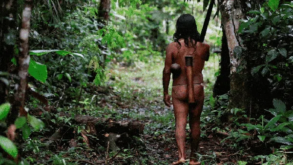 Potret Kehidupan Waorani, Suku Berbahaya di Hutan Amazon