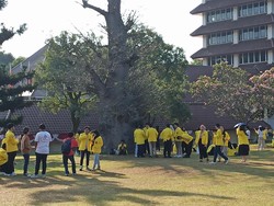 15 Jurusan dengan Tingkat Persaingan Rendah di UI, Ada Prodi Impianmu?