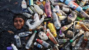 Sampah Plastik Masih Mendera Sungai di Jakarta
