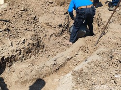 Fosil Gading Gajah di Ngebung Sragen Diperkirakan Berusia 800 Ribu Tahun!