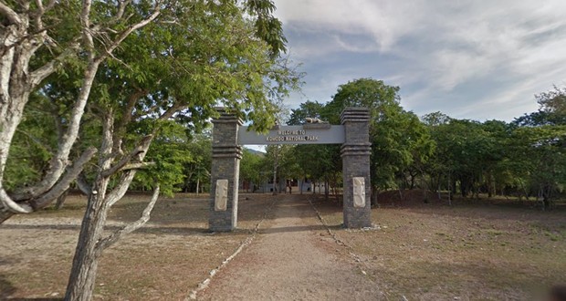 Foto: Google Arts and Culture/Taman Nasional Komodo