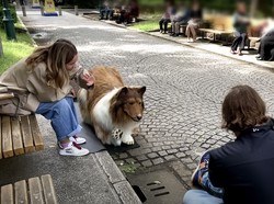 Analisis Psikolog soal Toco Pria Jepang yang Berperilaku Bak Anjing