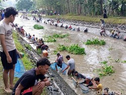 Penampakan Meriahnya Tradisi Bersih Sungai di Kutoarjo Purworejo