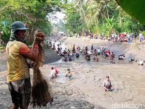 Meriahnya Tradisi Bersih Sungai di Kutoarjo, Cegah Banjir-Panen Ikan Bareng