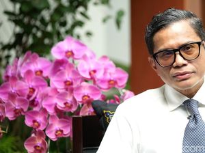 Dari Bankir, Kini Pimpin Diplomasi Ekonomi Global RI Dari Bankir, Kini Pimpin Diplomasi Ekonomi Global RI