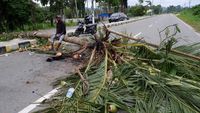 Jalan Holtekamp Papua Diblokir, Ada Apa?