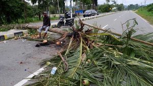 Jalan Holtekamp Papua Diblokir, Ada Apa?