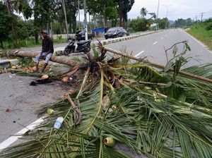 Jalan Holtekamp Papua Diblokir, Ada Apa?