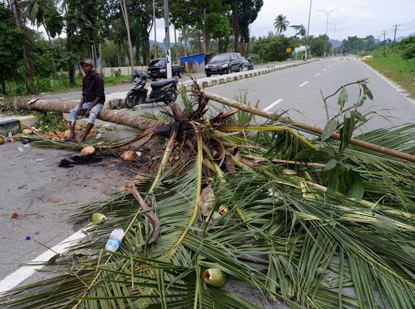 Jalan Holtekamp Papua Diblokir, Ada Apa?
