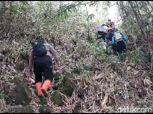 Momen Evakuasi Pendaki Hipotermia di Gunung Lemongan, Lumajang