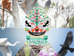 Hari Peringatan Konservasi Alam Nasional: Tema, Sejarah, Logo 2023
